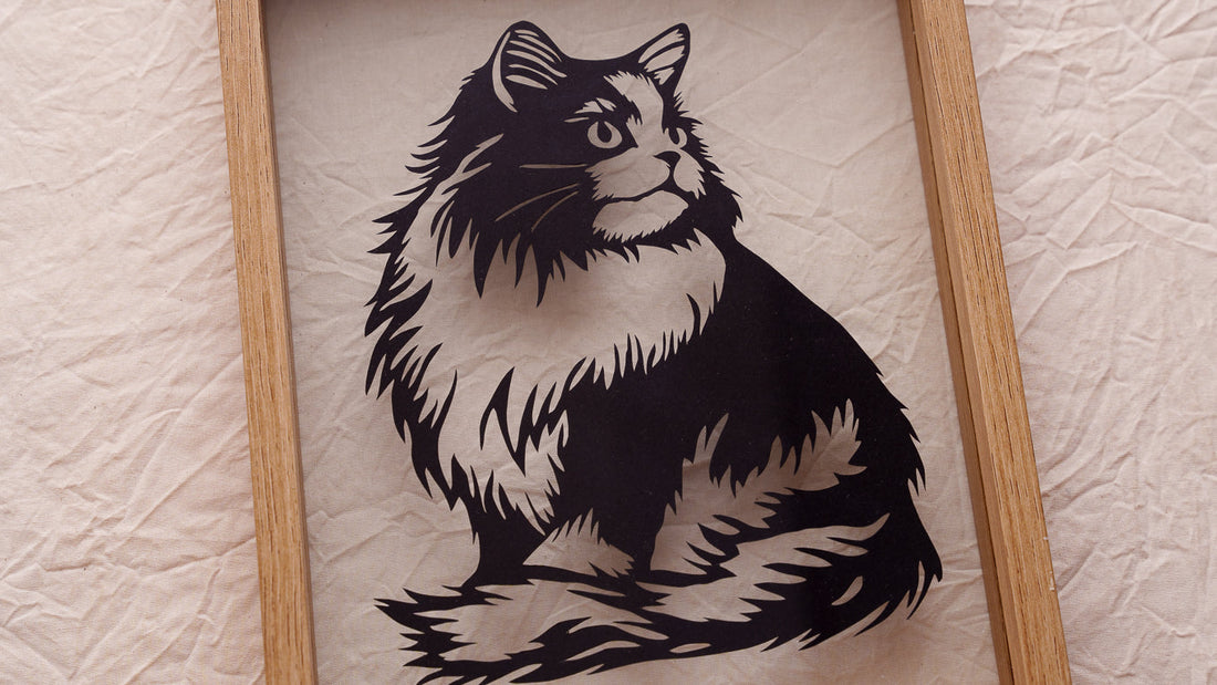Why Cat Silhouettes Capture More Than Just a Shape