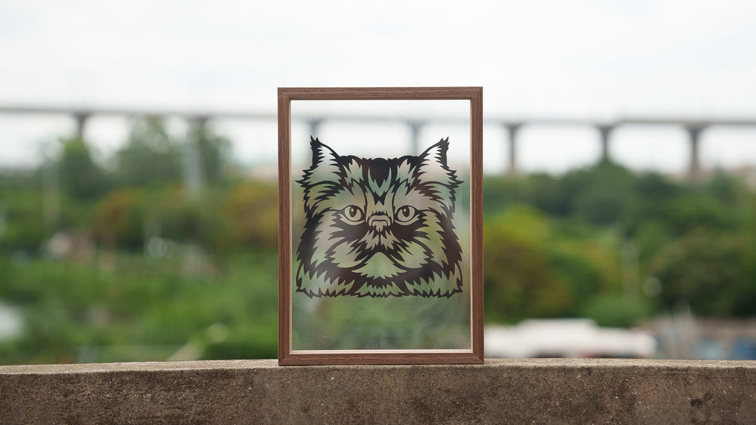 Why We Find Comfort in a Cat’s Silhouette After They’re Gone
