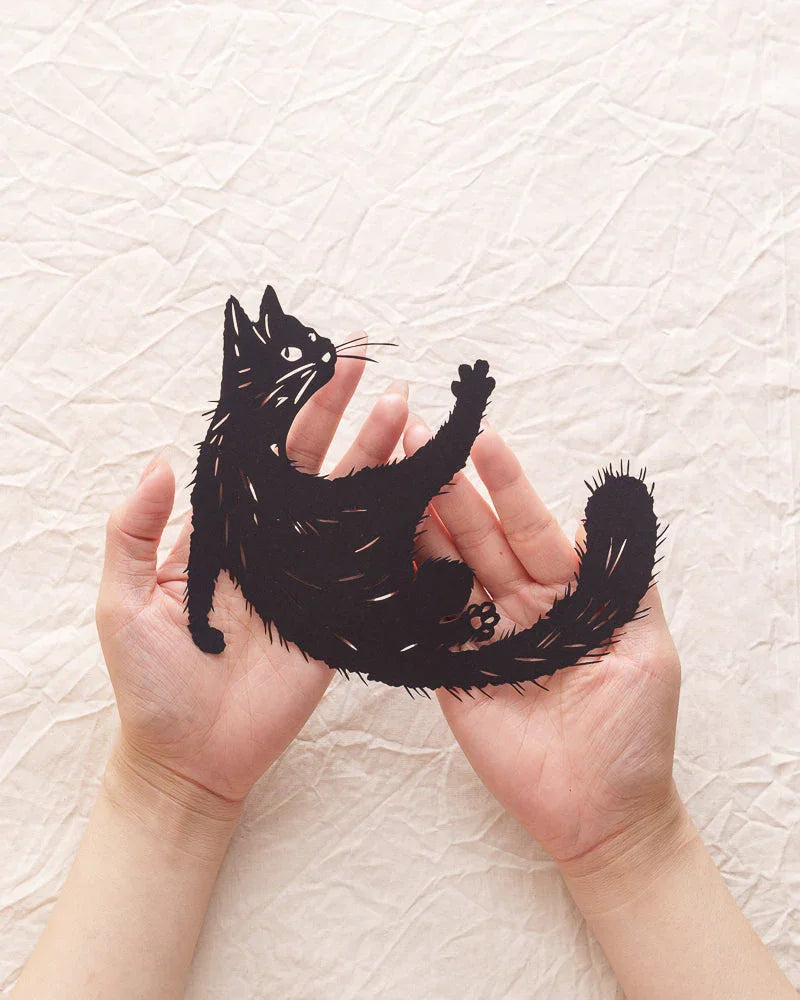 Paper Cut Trust: The Healing Journey of a Stray Cat