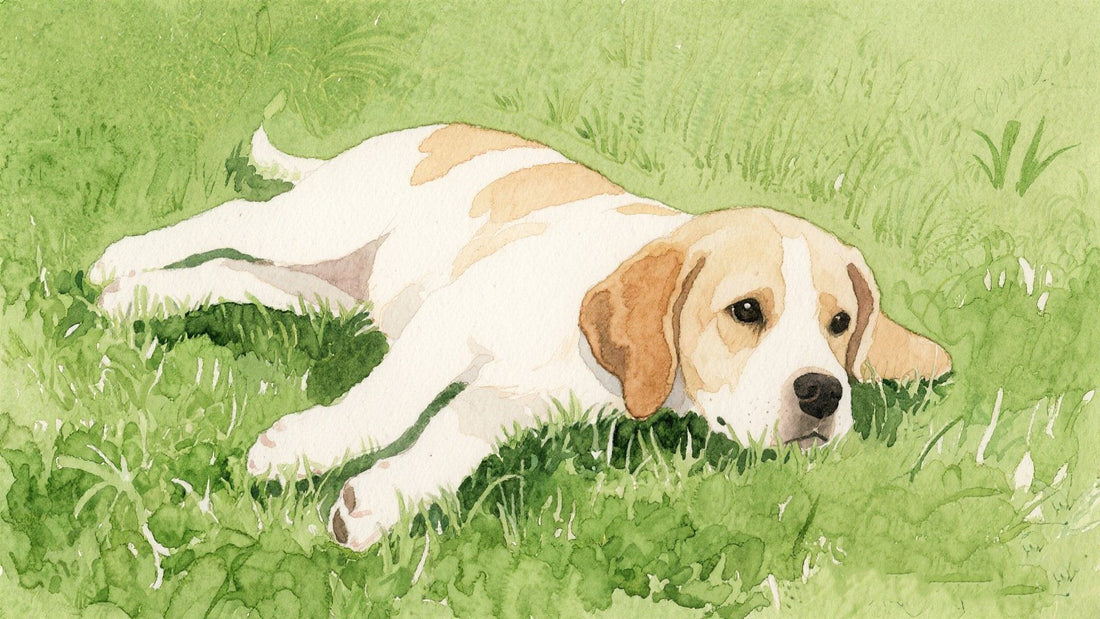 Pet Loss and Mental Health: Coping Mechanisms That Actually Work